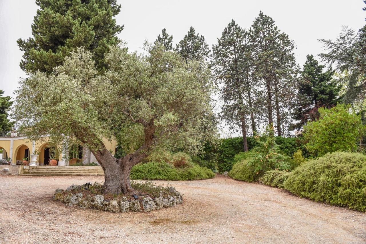 Villa Luciana Мартина Франка Екстериор снимка